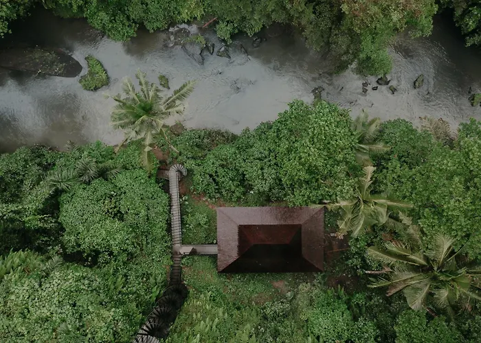 Bedulu Cliff Estate Ubud - Tree Top